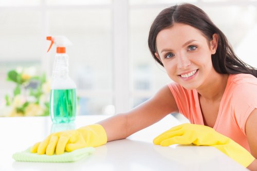 Professional stain removal tools and carpet cleaning supplies in Edmonton