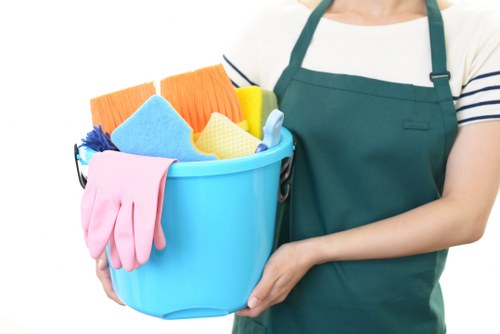 Essential cookies and website performance for Edmonton Carpet Cleaners