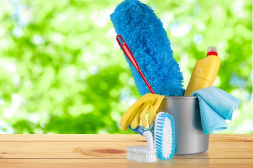 Professional carpet cleaner preparing equipment for a booked service