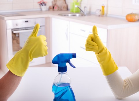 Eco-friendly mattress cleaning equipment in Edmonton