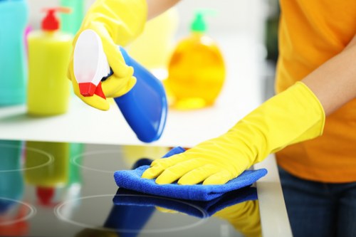 Edmonton carpet care during winter weather conditions
