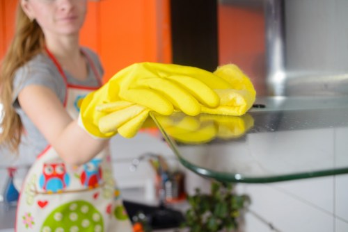 Professional pet stain odour removal process in an Edmonton home