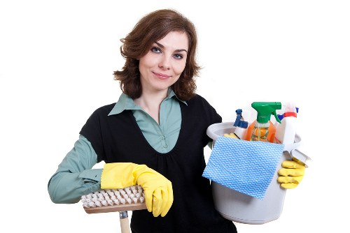 Professional deep cleaning process for business carpet