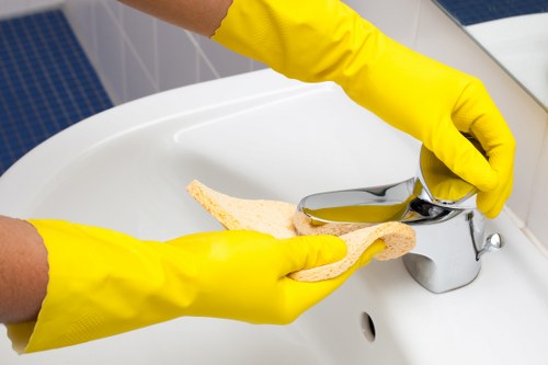 Accessible website and carpet cleaning service icon for Edmonton